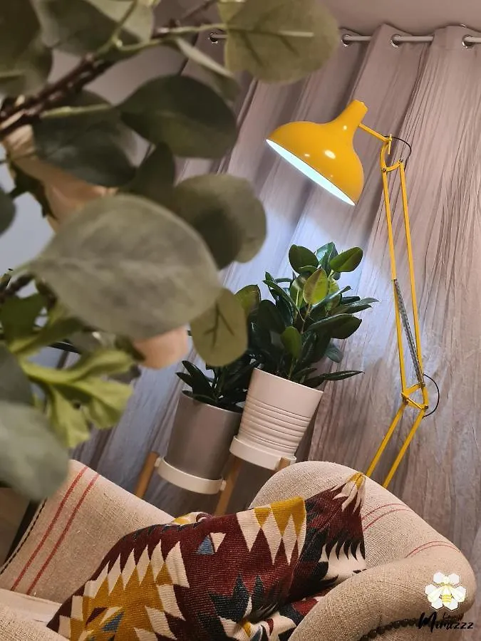 Appartement Le Mimizzz à Entraygues-sur-Truyère