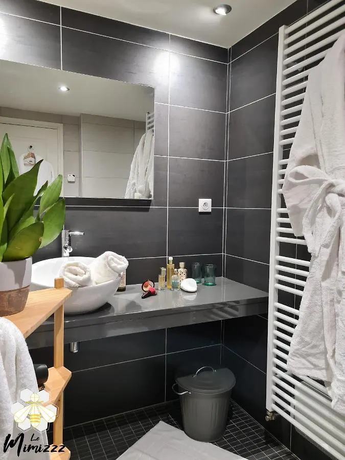 Appartement Le Mimizzz à Entraygues-sur-Truyère