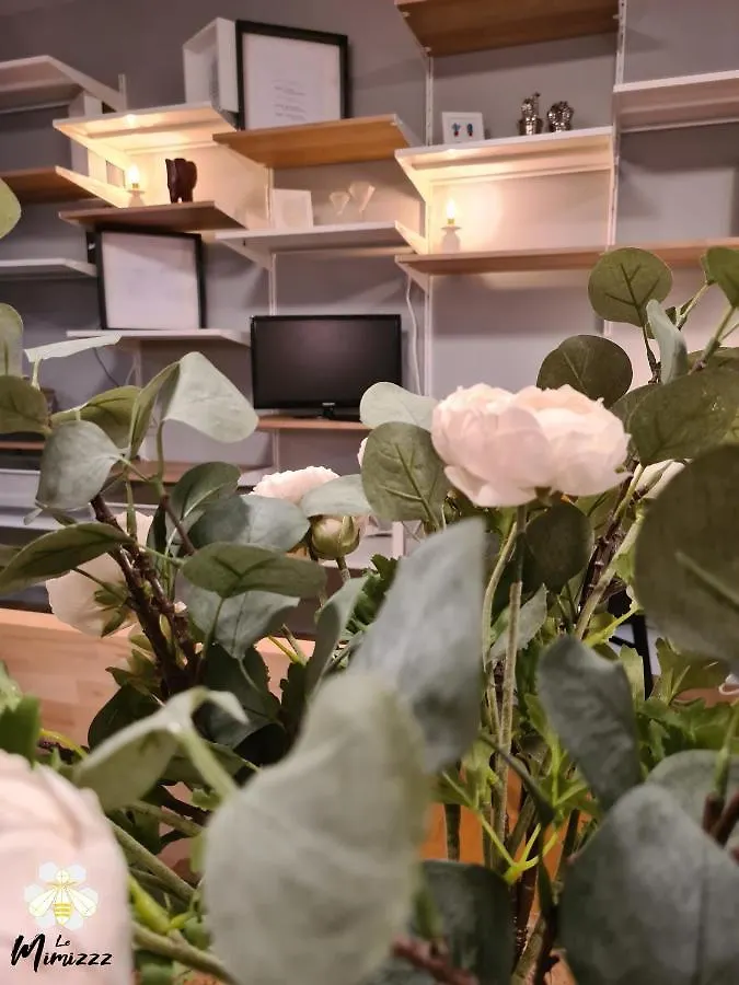 Appartement Le Mimizzz à Entraygues-sur-Truyère